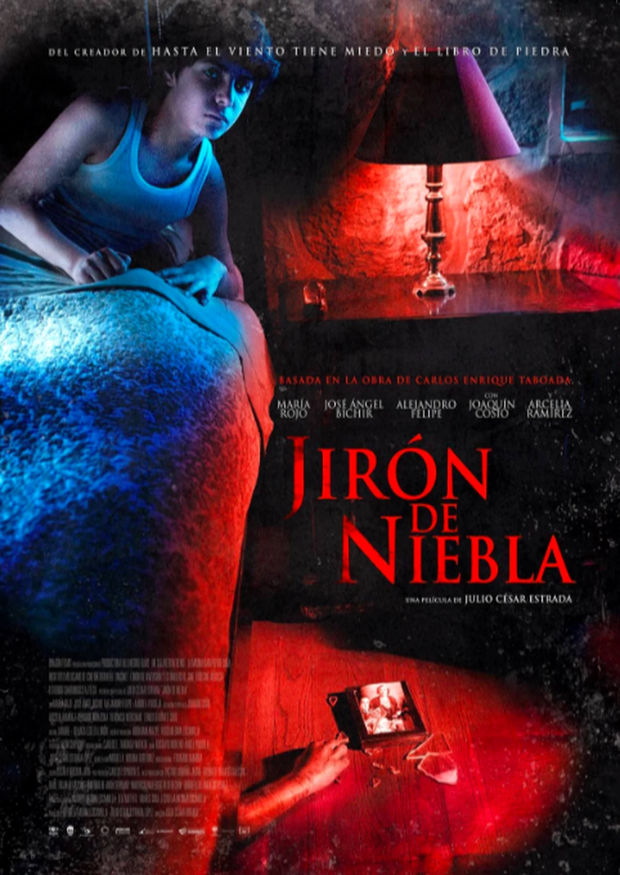 Póster de Jirón de niebla